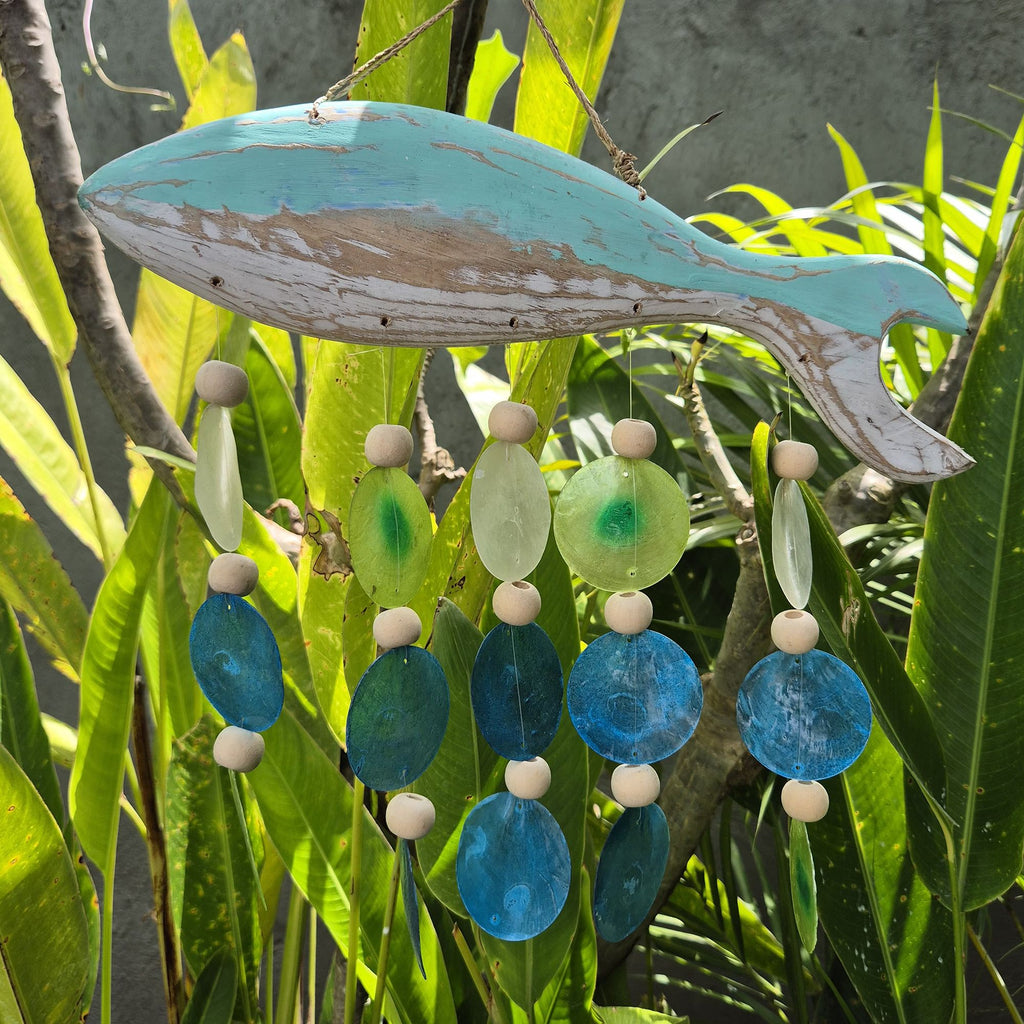 Taille des poissons dans Aqua et Drop