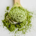 Thé Matcha Culinaire Bio