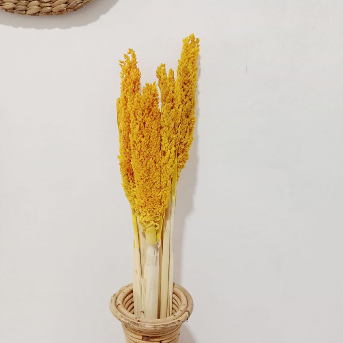Bouquet de foin de Cantal - Ambre