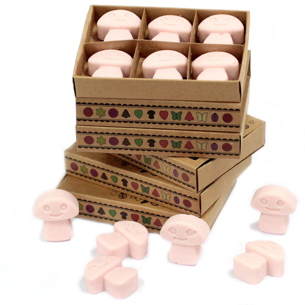 Boîte de 6 cires de soja - Bois de santal
