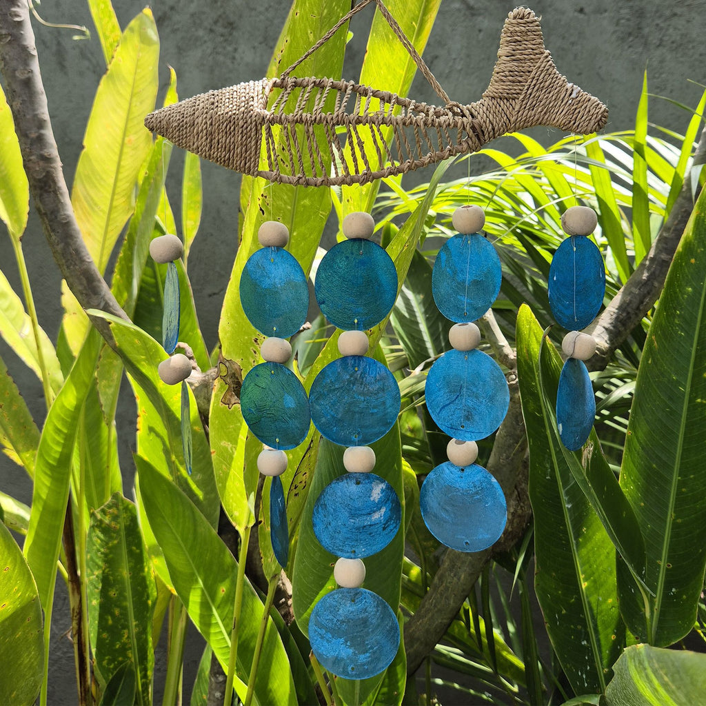Poisson sur une ficelle et Blue Drop