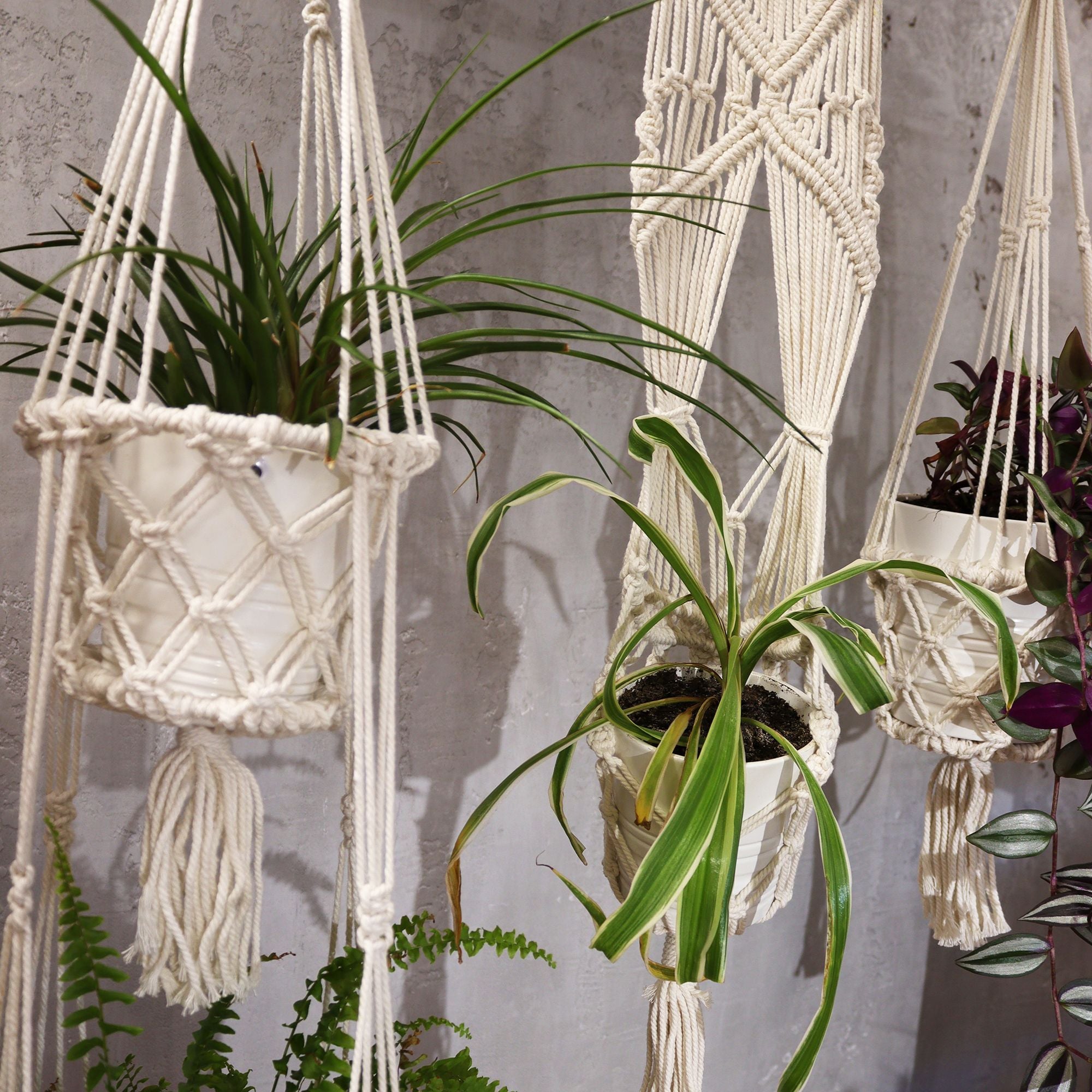 Jardinière en macramé - Petite