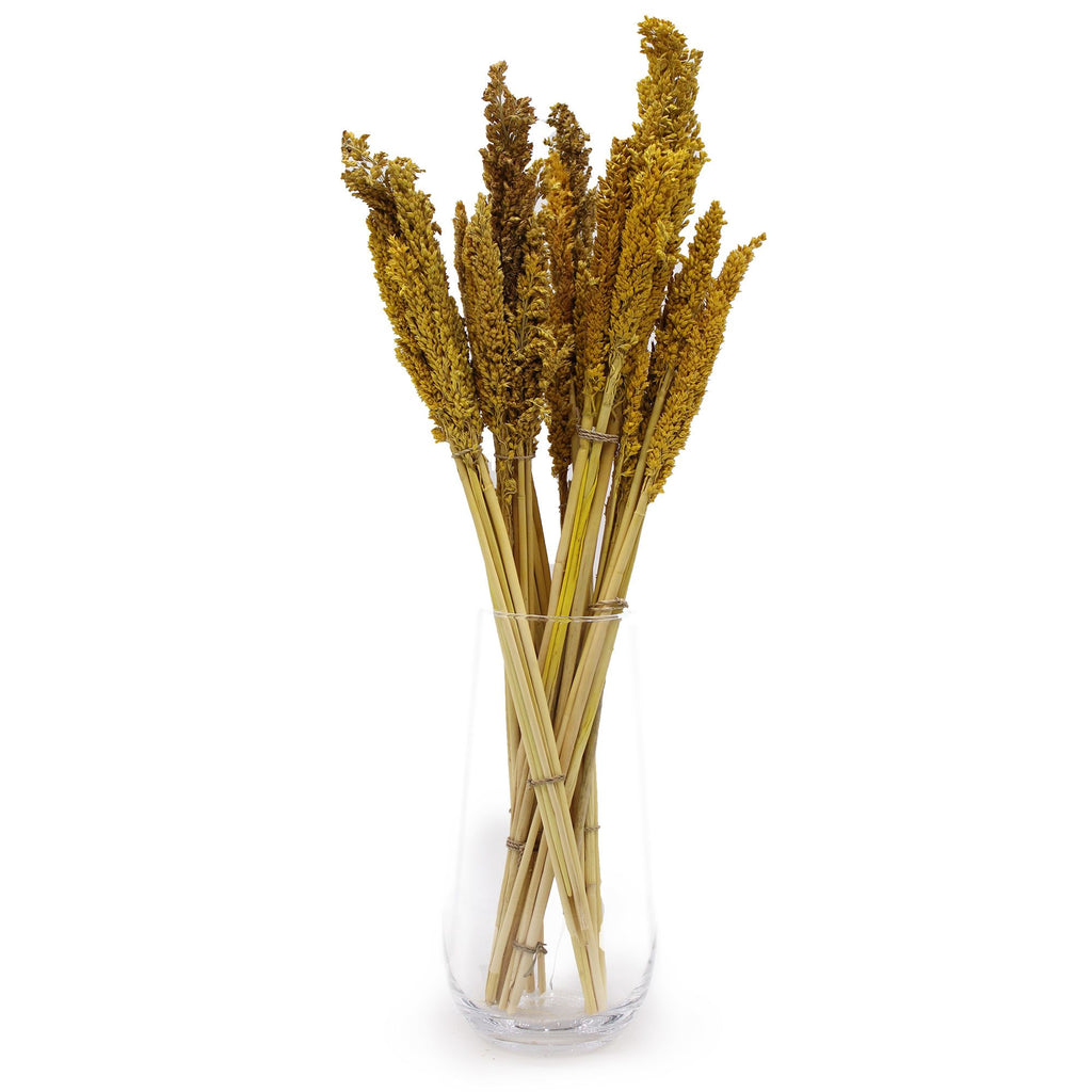 Bouquet de foin de Cantal - Ambre