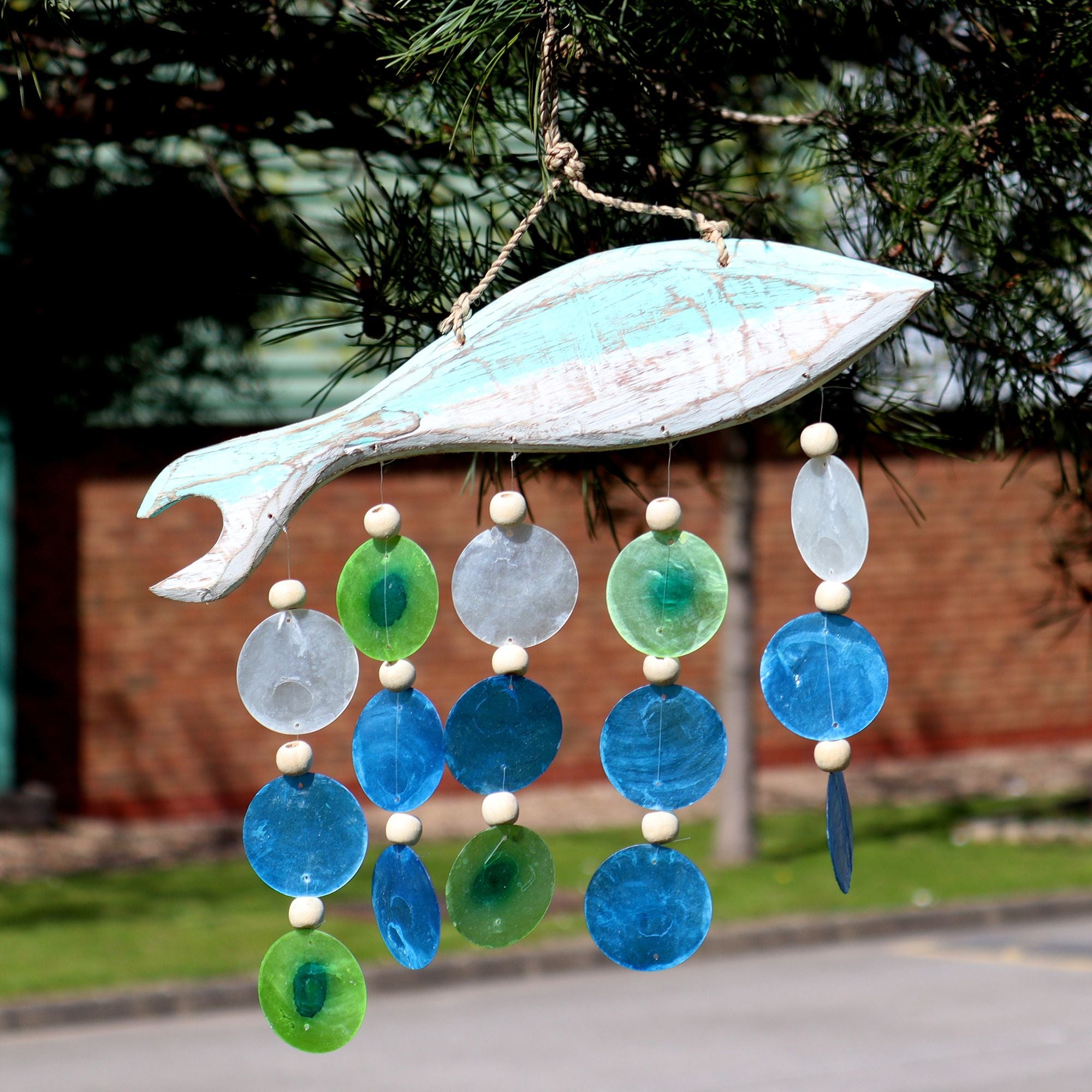Taille des poissons dans Aqua et Drop