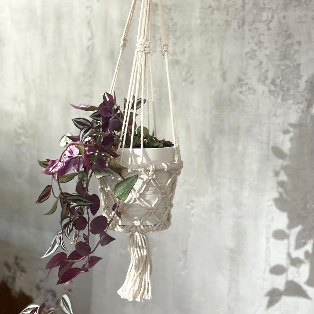 Jardinière en macramé - Petite