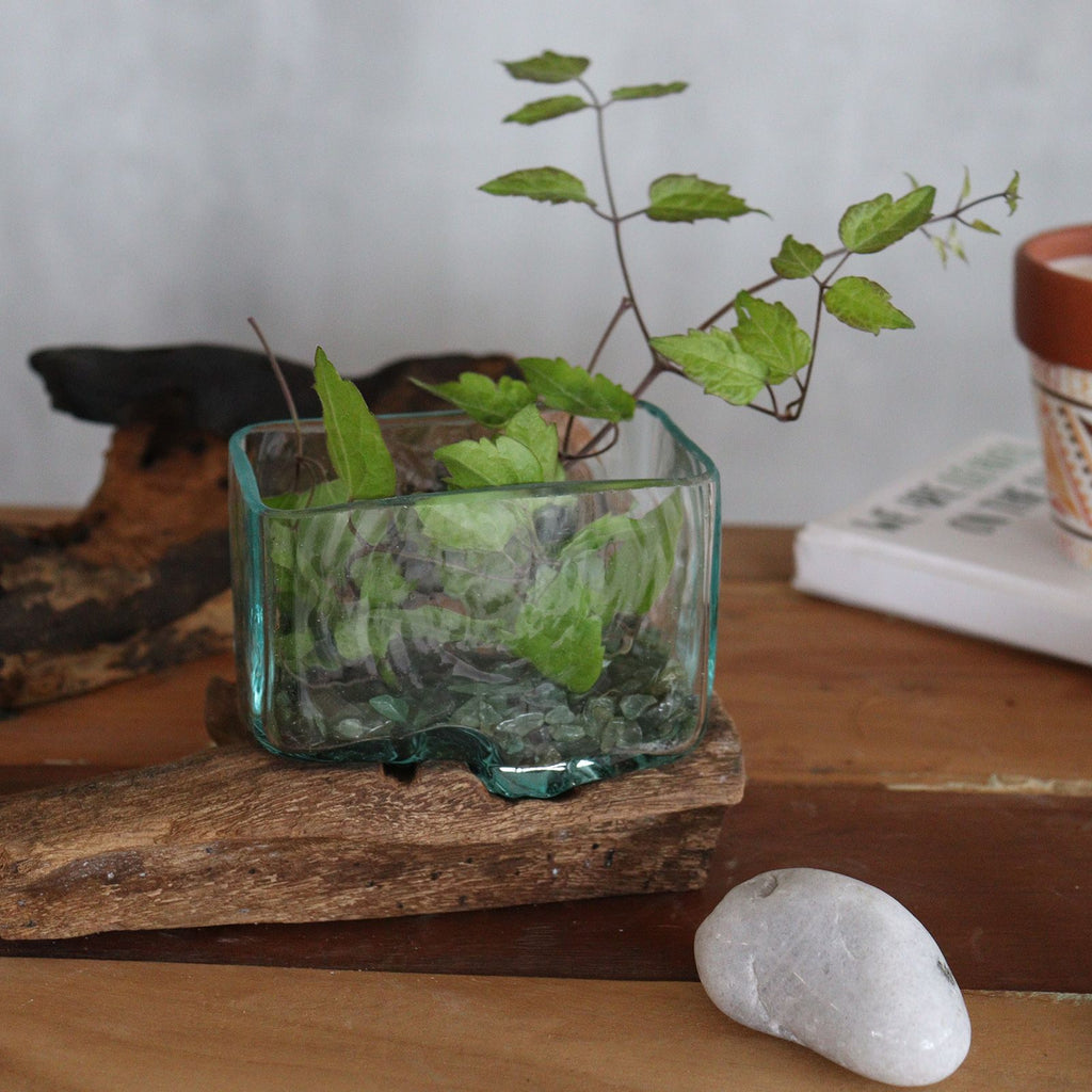 Réservoir en verre fusionné sur support en bois - Petit bol
