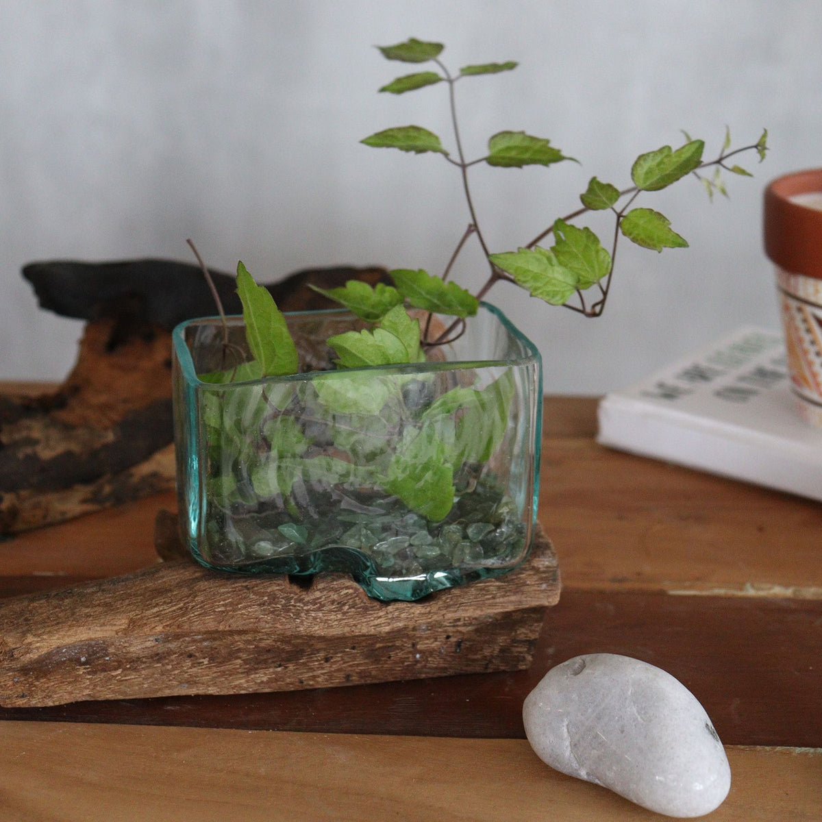 Réservoir en verre fusionné sur support en bois - Petit bol