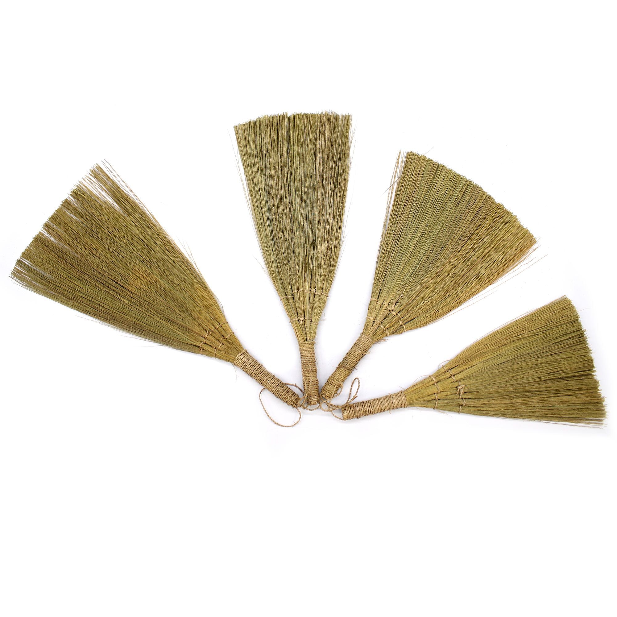 Lot de 4 balais éventails en herbe de la pampa - Tailles assorties naturelles