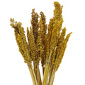Bouquet de foin de Cantal - Ambre