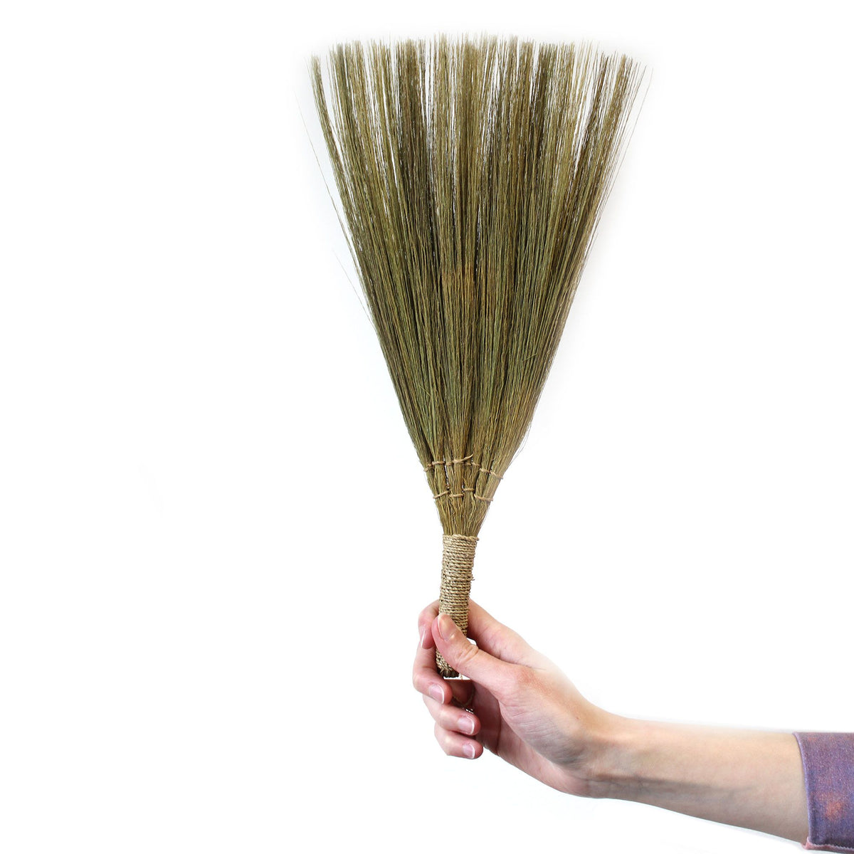 Lot de 4 balais éventails en herbe de la pampa - Tailles assorties naturelles