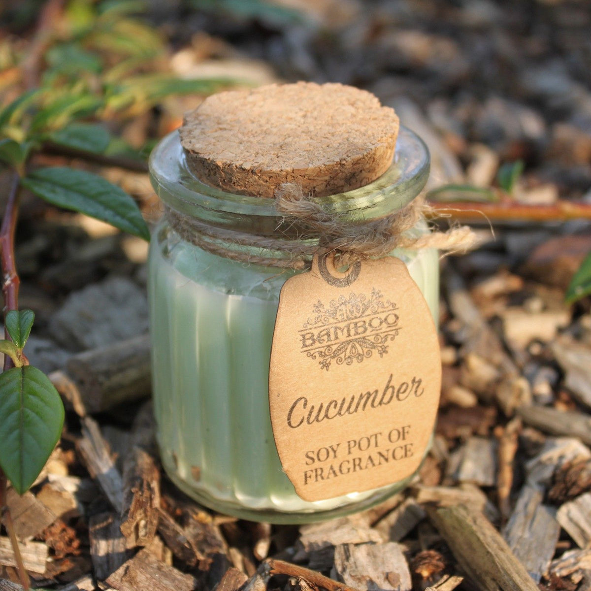 Bougie en cire de soja en pot - Concombre