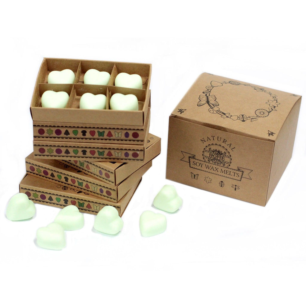 Boîte de 6 cires de soja - Menthe et Menthol