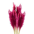 Bouquet de cantha rose