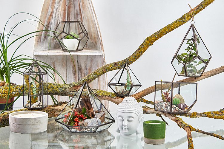 Terrarium en verre - Cube d'angle