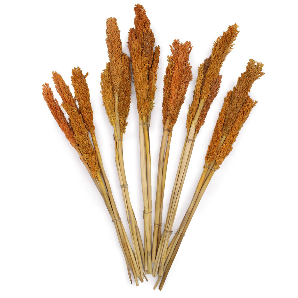 Bouquet de foin de Cantal - Orange