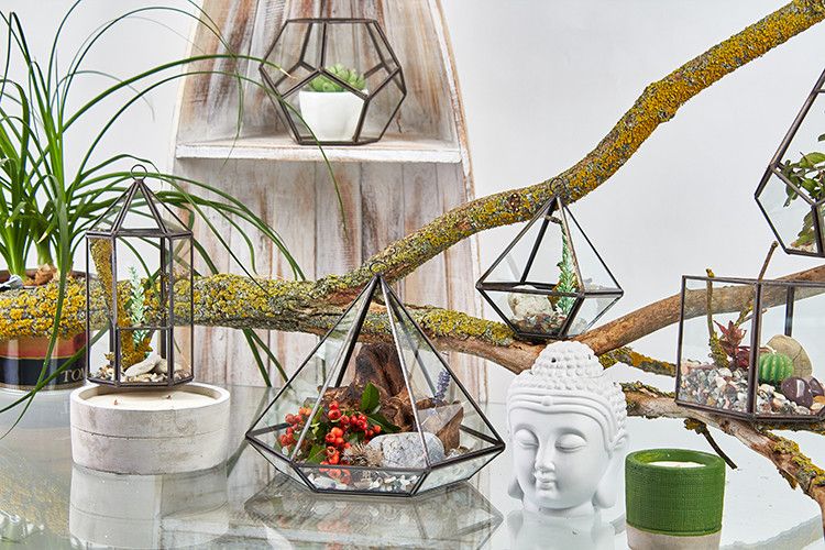 Terrarium en verre - Petit diamant