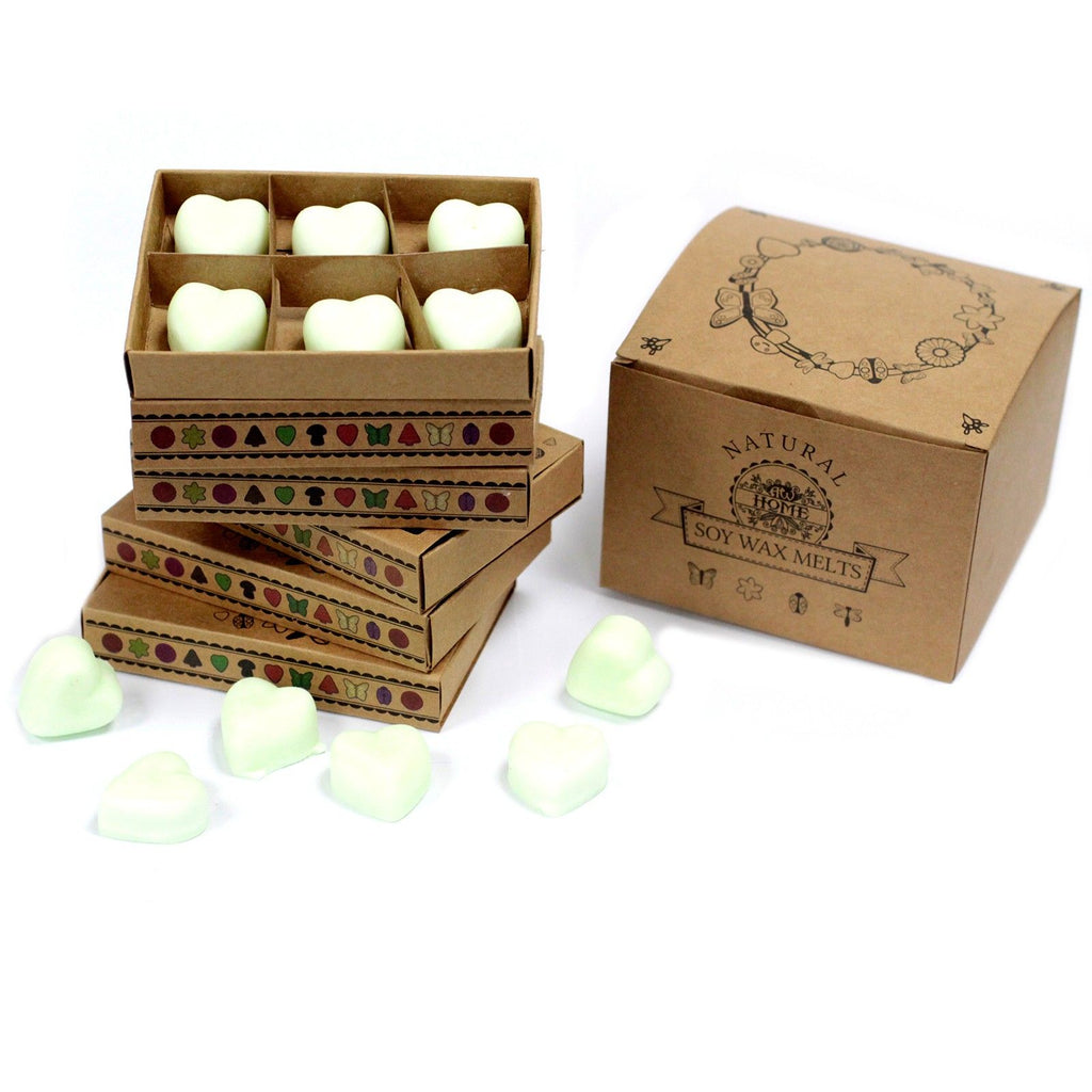 Boîte de 6 cires de soja - Pomme épicée