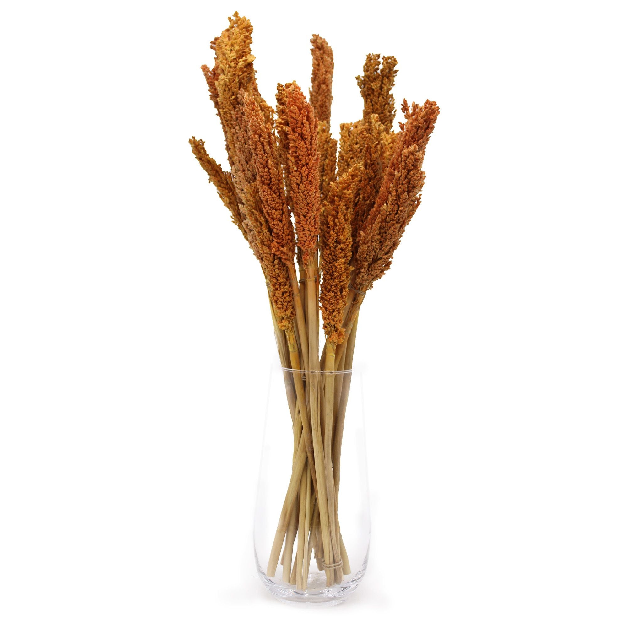 Bouquet de foin de Cantal - Orange