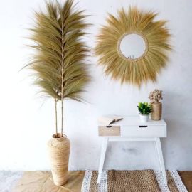 Palmier blond Rayung - 2 m