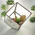 Terrarium en verre - Cube d'angle