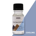 Huiles parfumées 10 ml - Eucalyptus