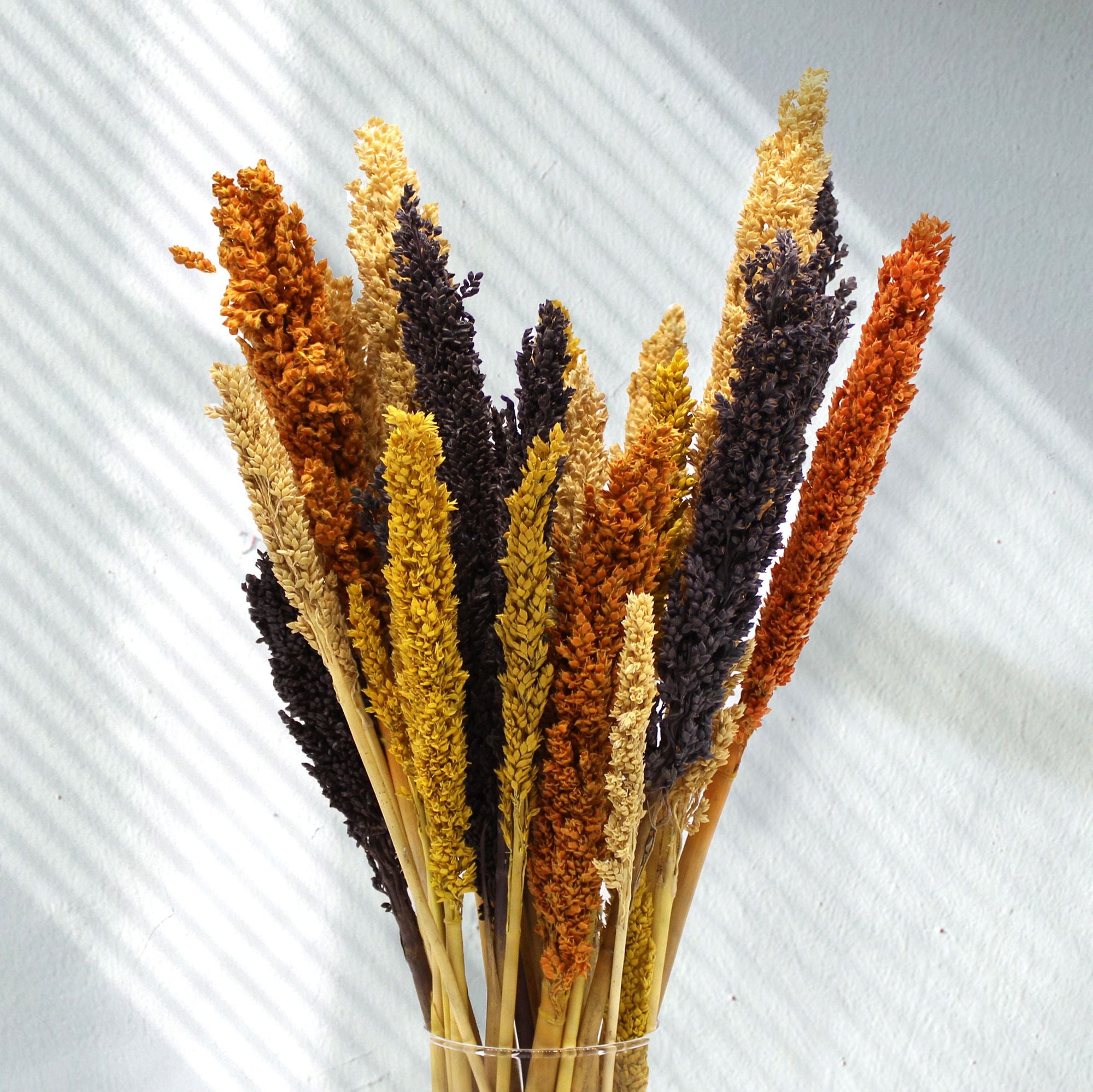 Bouquet de foin de Cantal - Orange