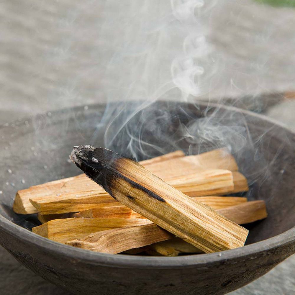 Bâtonnets de Palo Santo vert (50 g), 5 à 8 bâtonnets