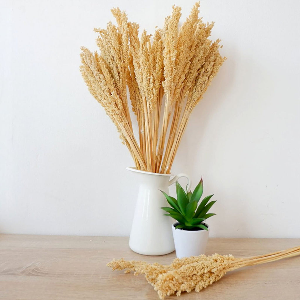 Bouquet de foin de Cantal - Naturel