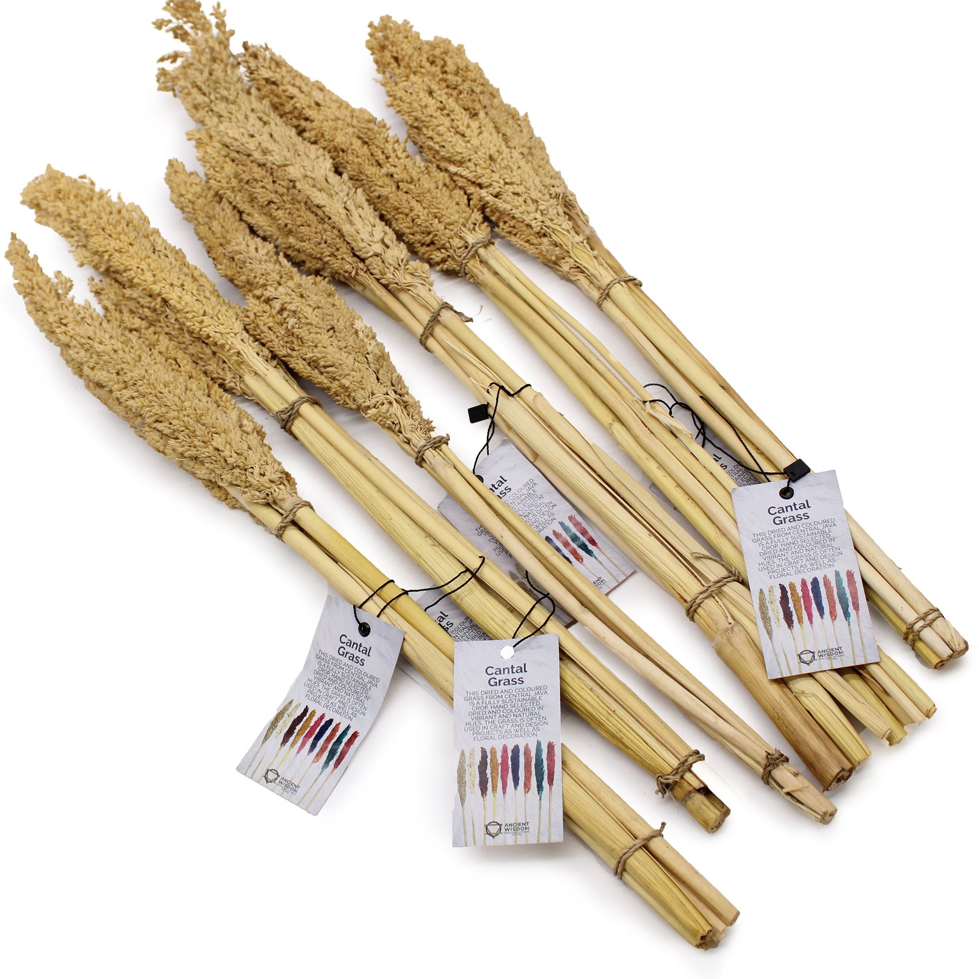 Bouquet de foin de Cantal - Naturel