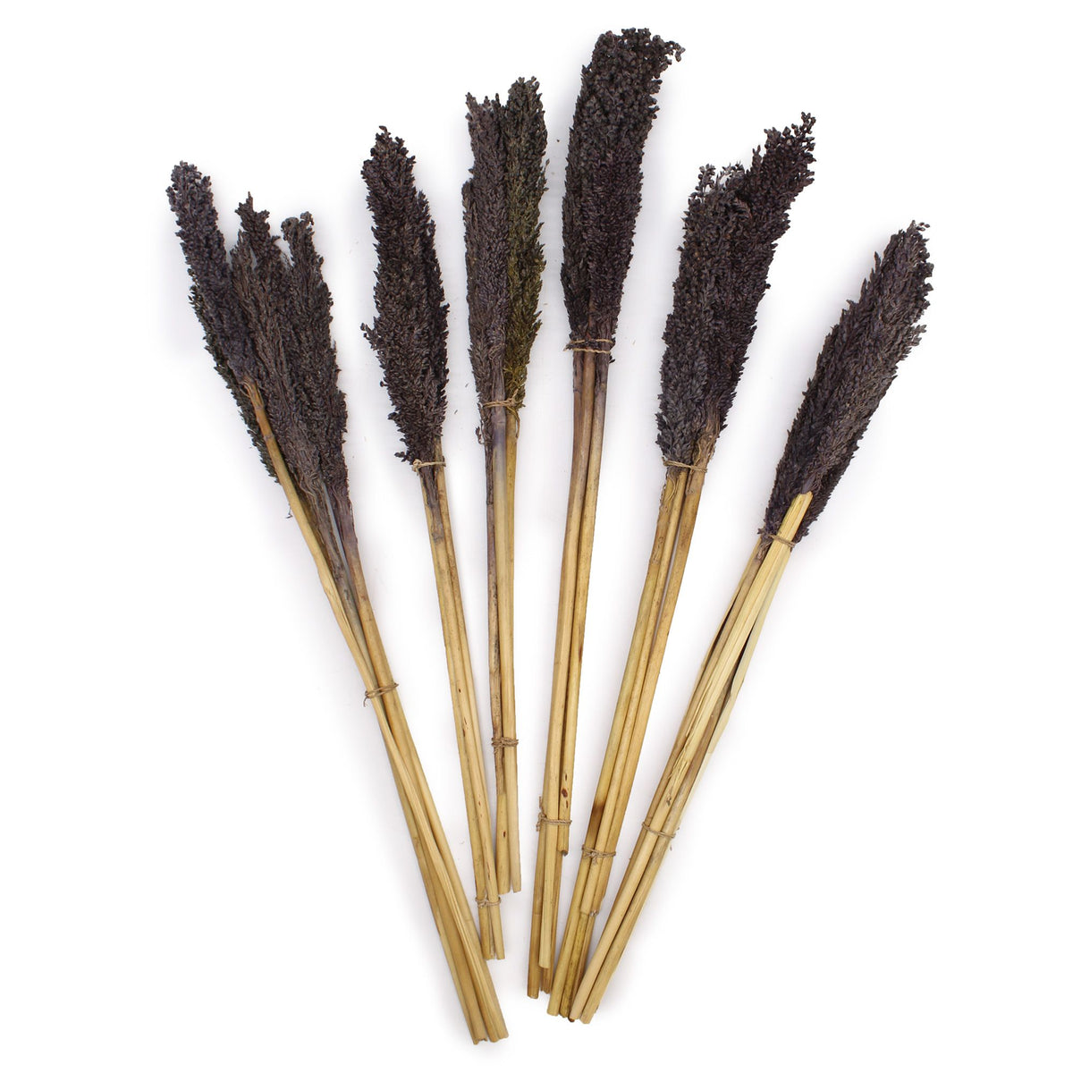 Touffe de foin de Cantal - Noir