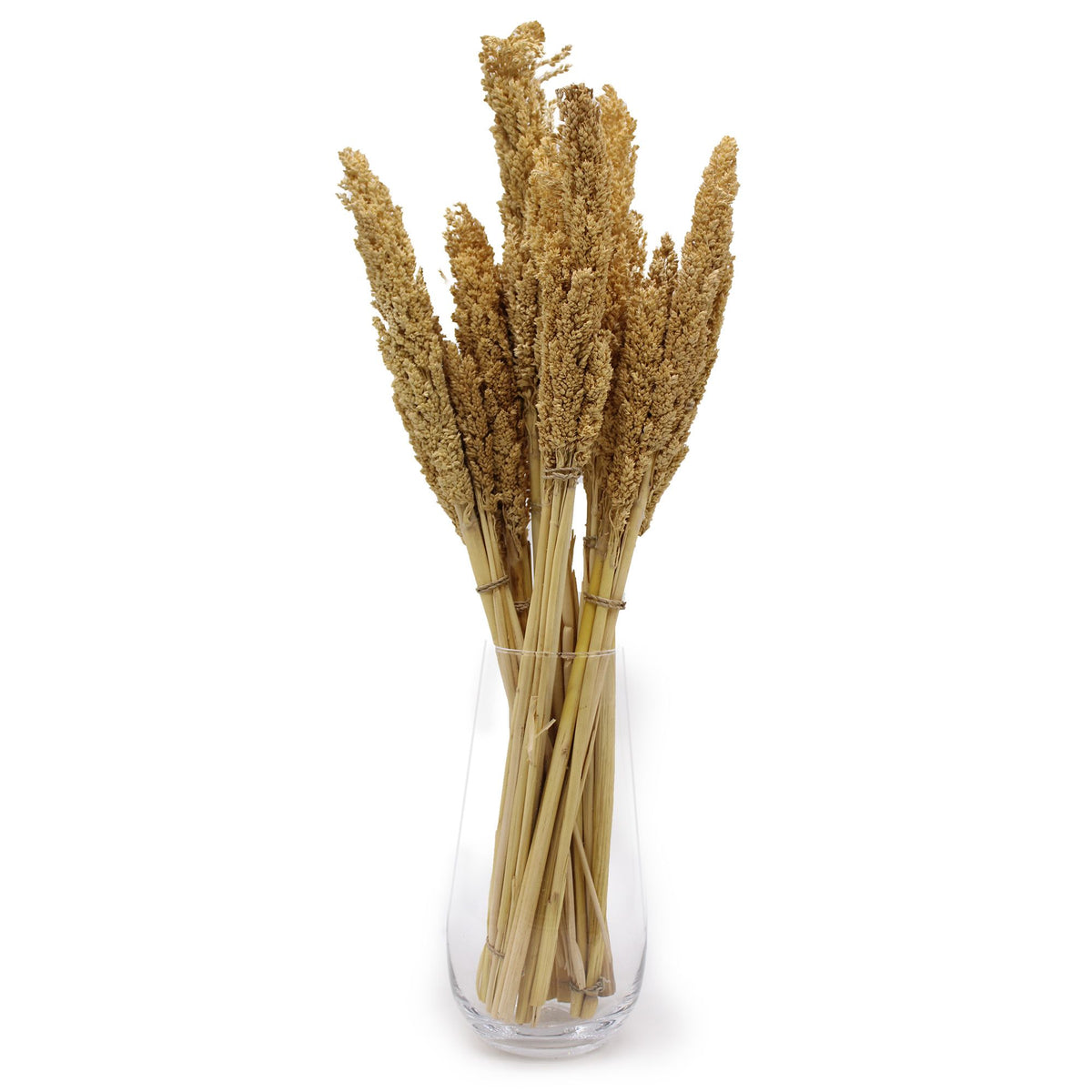 Bouquet de foin de Cantal - Naturel
