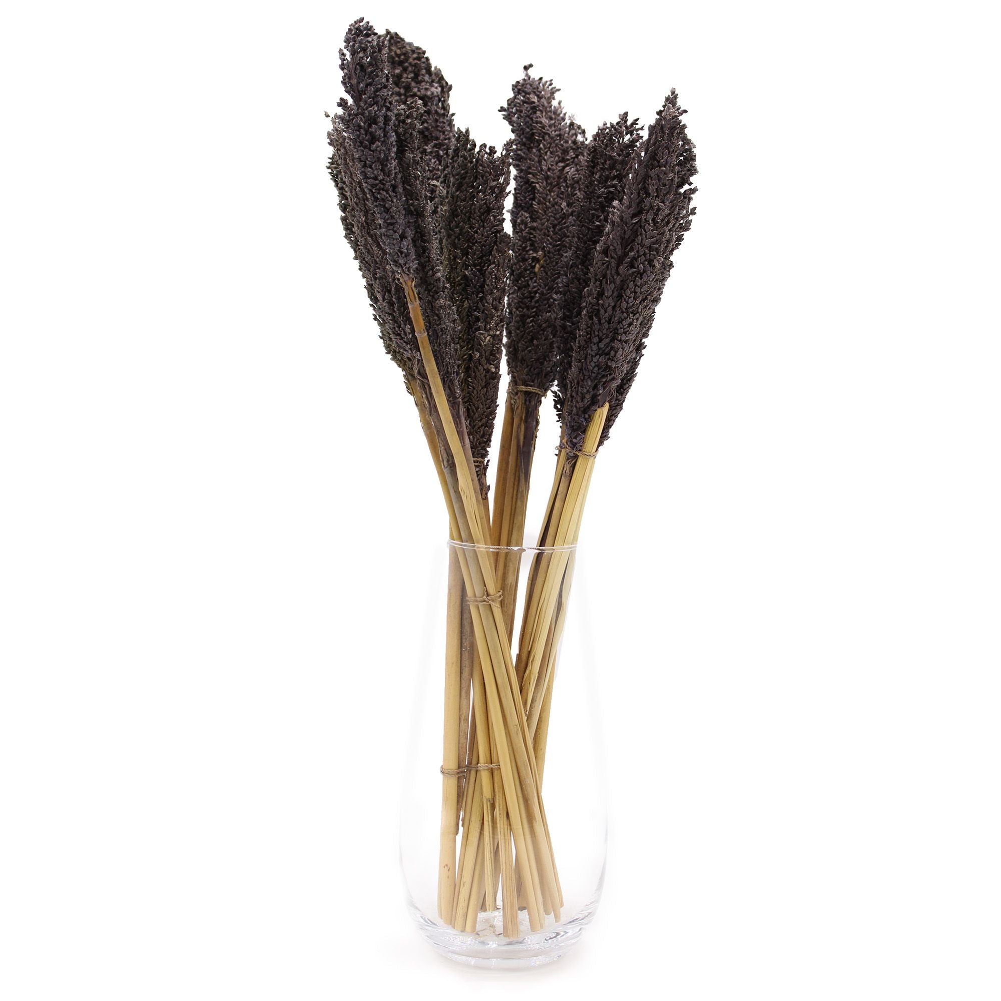 Touffe de foin de Cantal - Noir