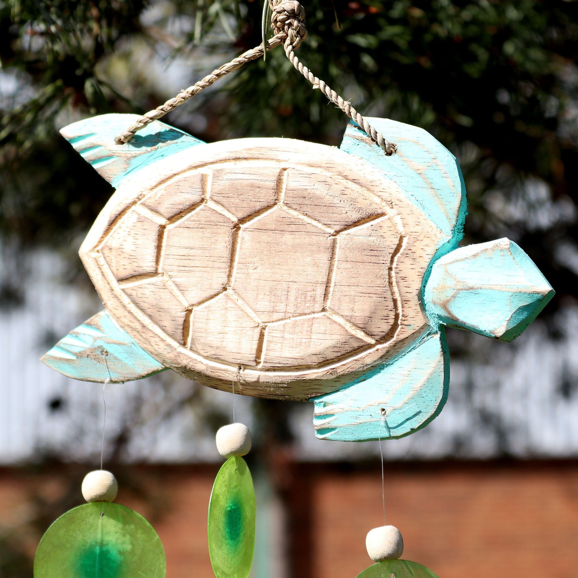 Sculpture de tortue dans Aqua et Drop