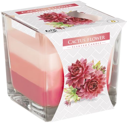 Bougie en pot arc-en-ciel - Fleur de cactus