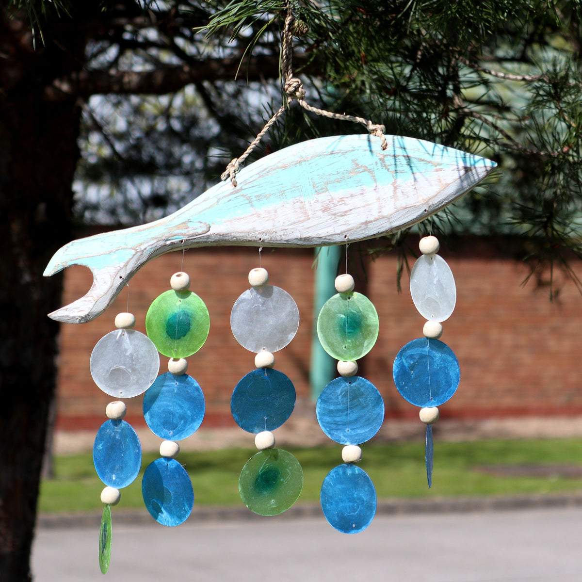 Taille des poissons dans Aqua et Drop