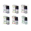 Lot de 6 huiles essentielles végétales assorties : aloe vera, cannelle et pomme, citronnelle, rose royale, encens doux, lys violet