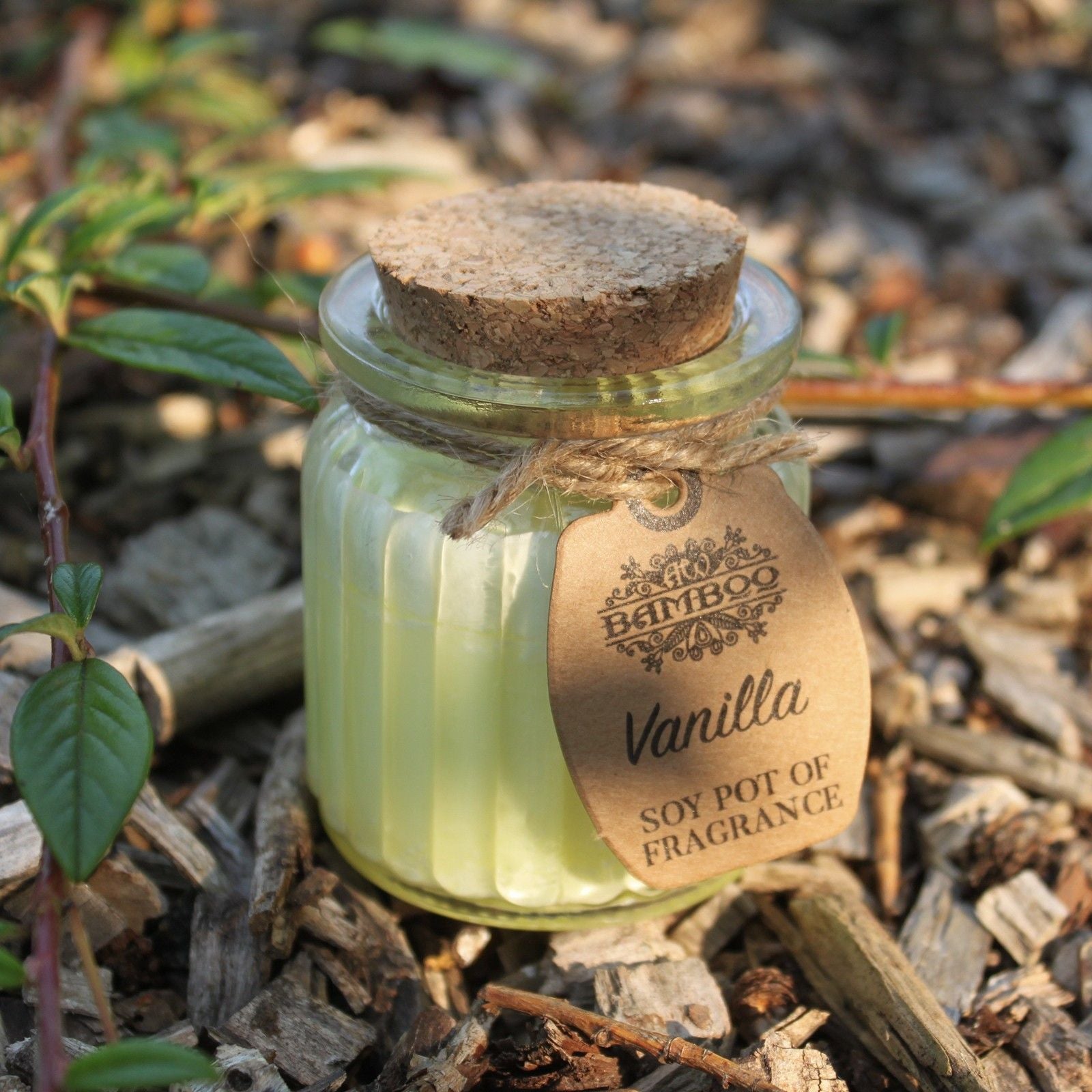 Bougie en pot à la cire de soja - Vanille