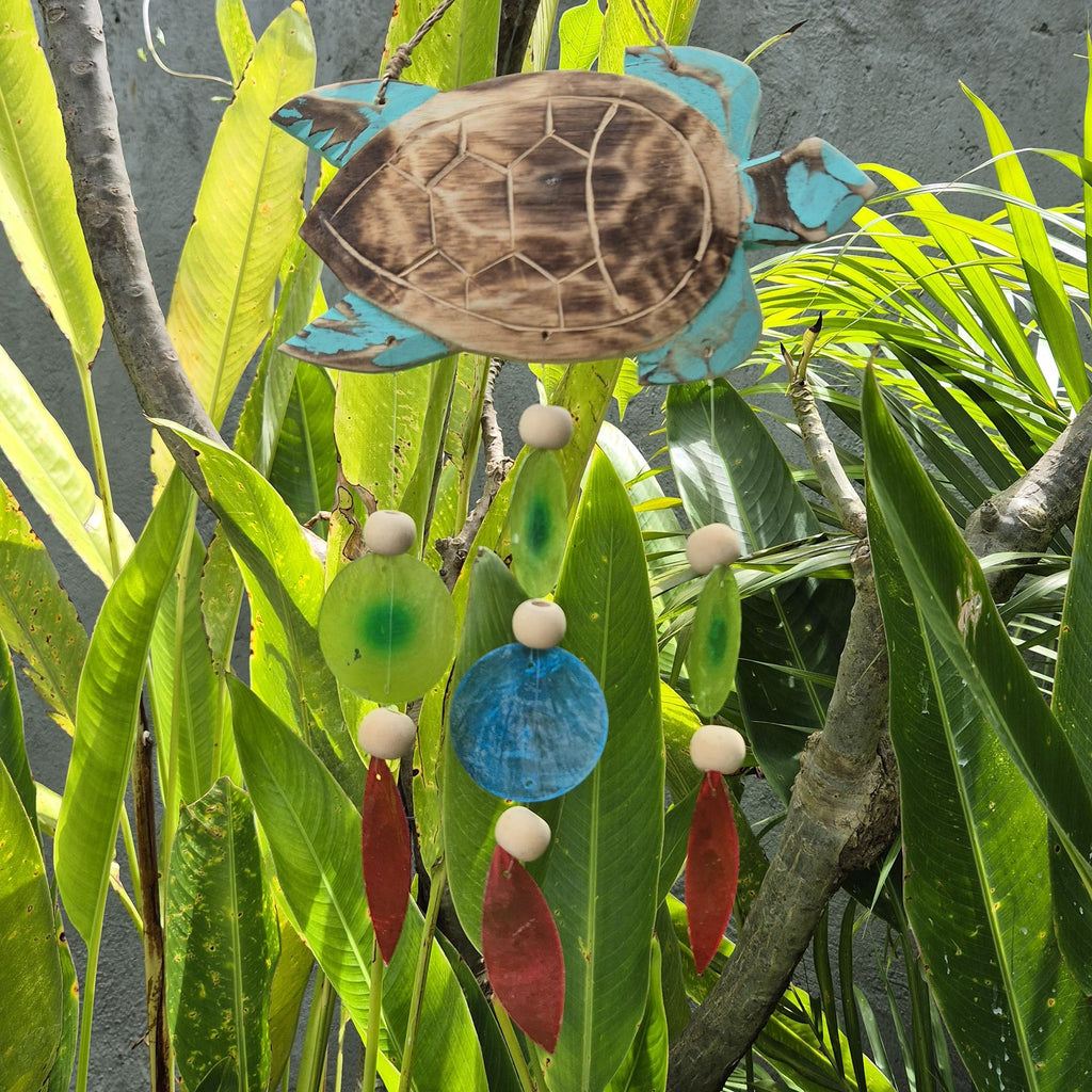 Sculpture de tortue dans Aqua et Drop