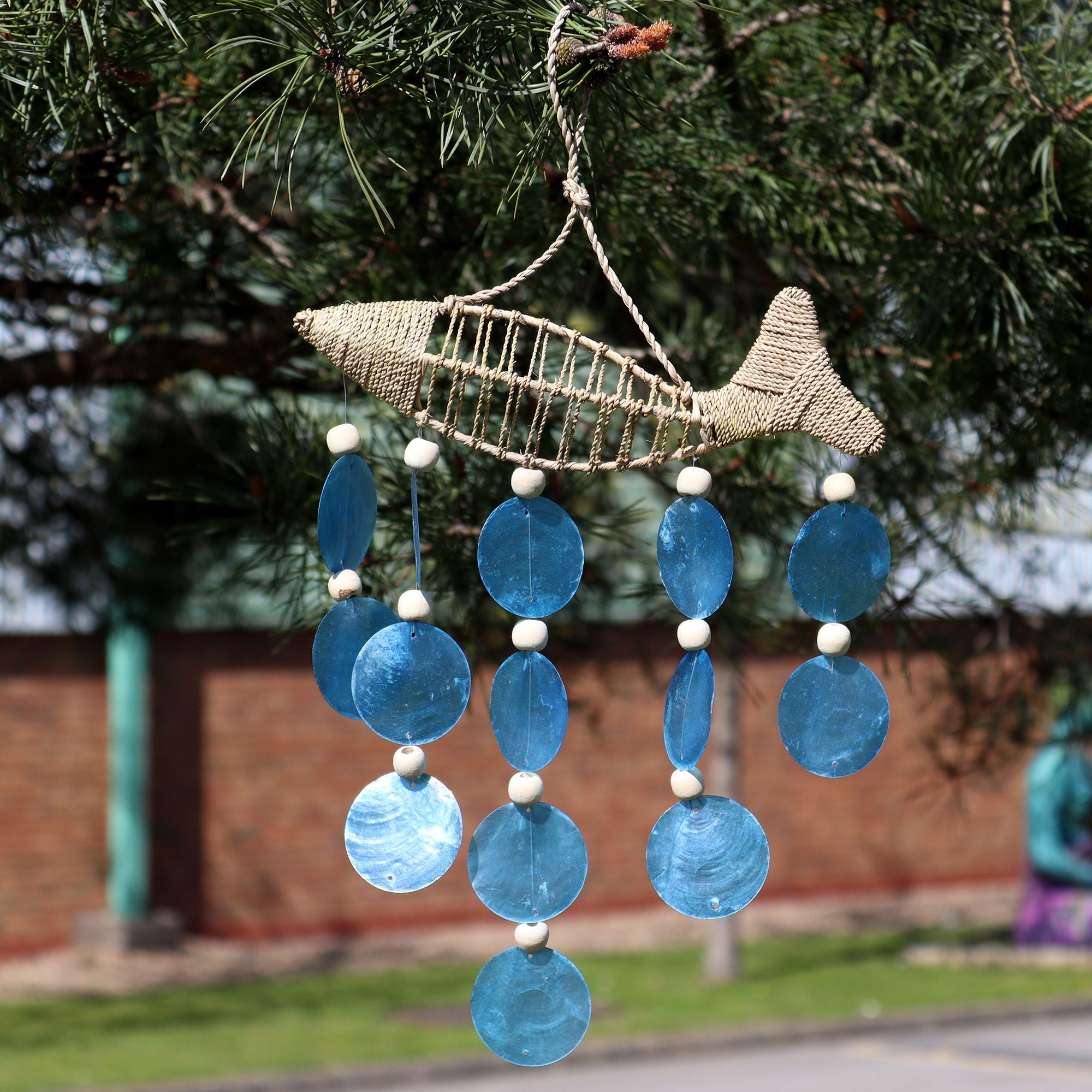 Poisson sur une ficelle et Blue Drop