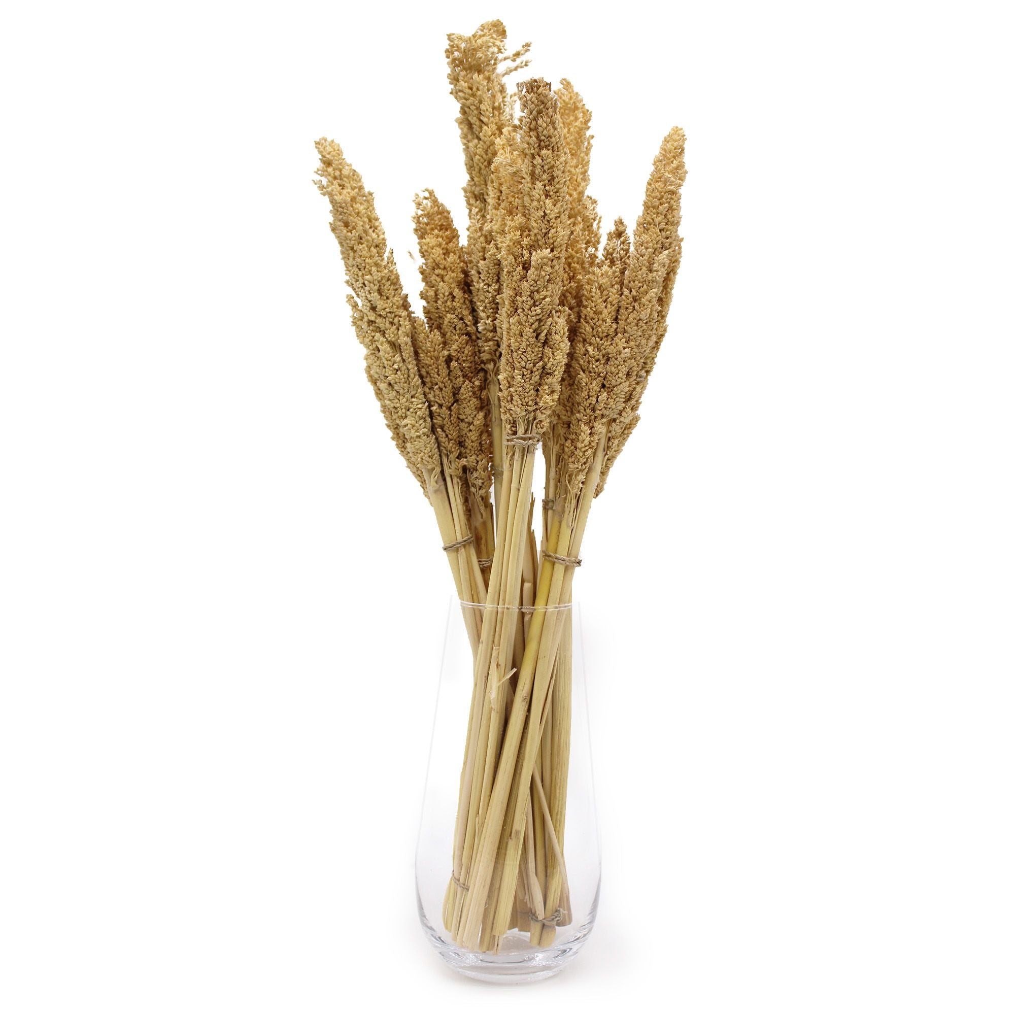 Bouquet de foin de Cantal - Naturel