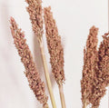 Touffe de foin de Cantal - Rouille