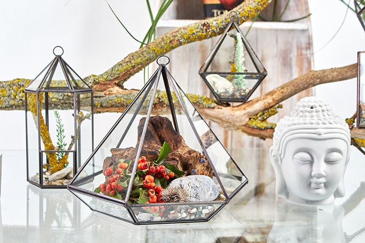 Terrarium en verre - Lanterne
