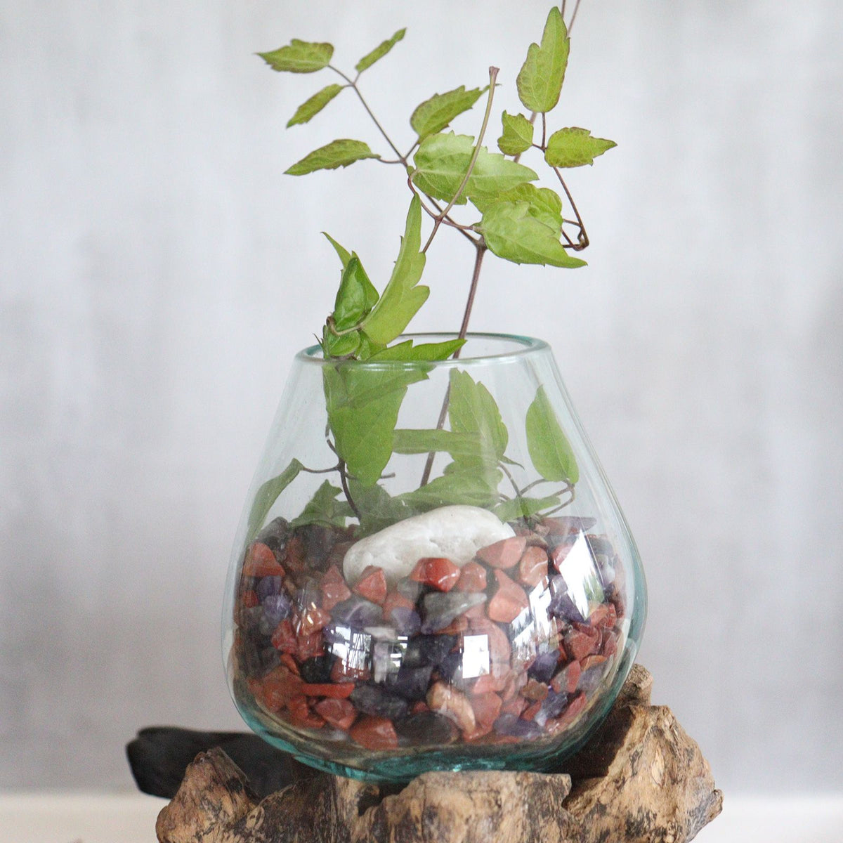 Bol en verre fusionné sur bois avec support - Grand bol