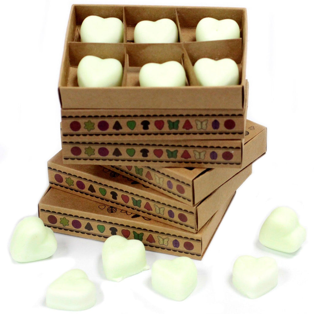 Boîte de 6 cires de soja - Pomme épicée