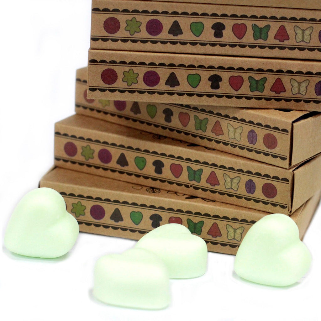 Boîte de 6 cires de soja - Menthe et Menthol