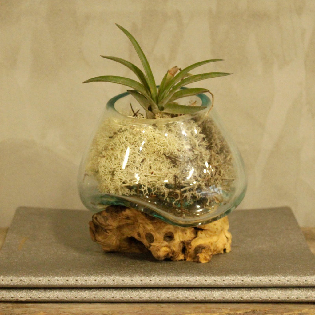 Bol en verre fusionné sur bois