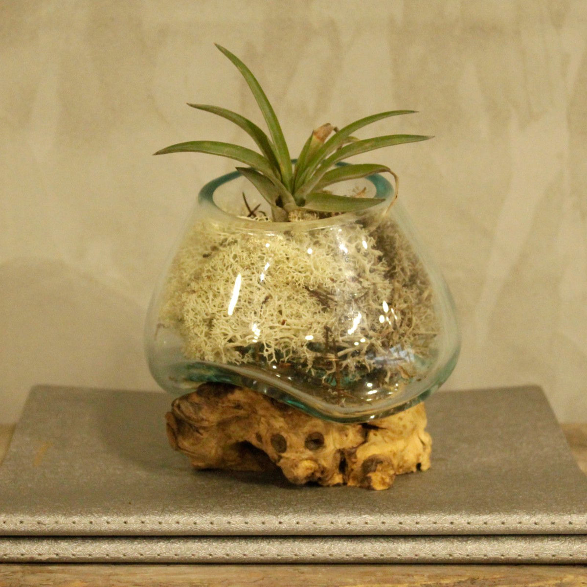 Bol en verre fusionné sur bois