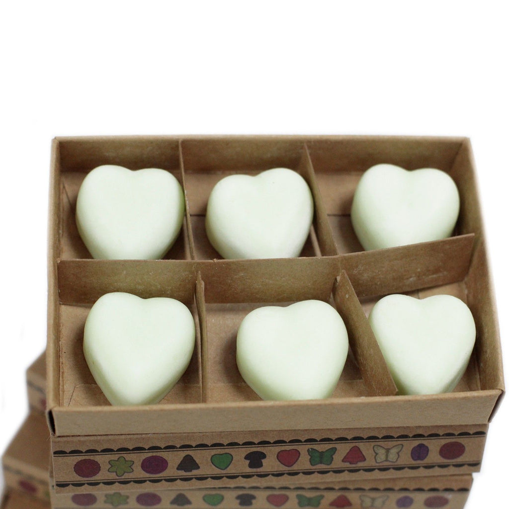 Boîte de 6 cires de soja - Pomme épicée