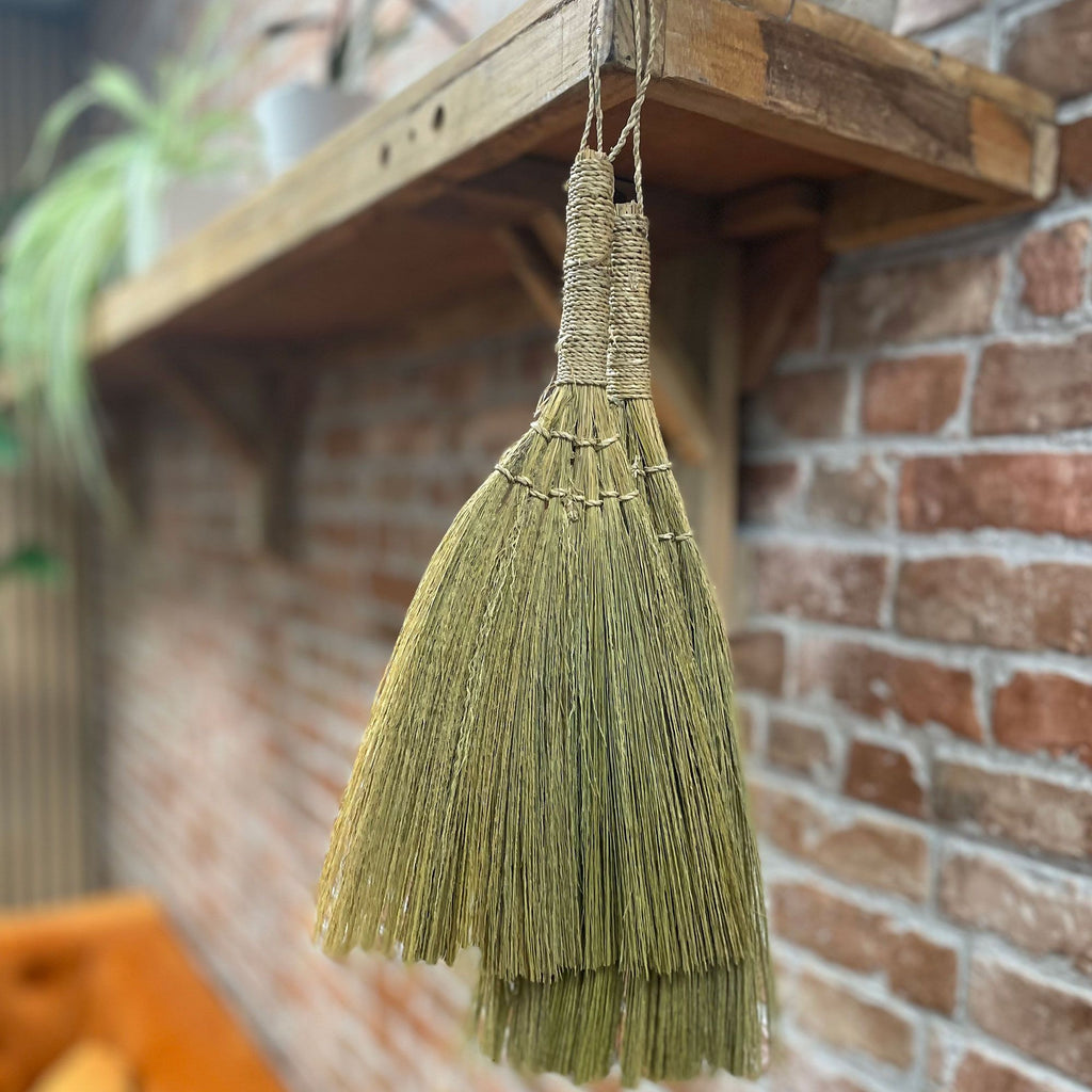 Lot de 4 balais éventails en herbe de la pampa - Tailles assorties naturelles