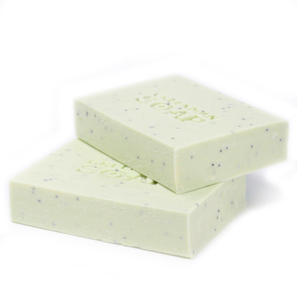 Savon Greenman 100 g - Antiseptique antitaches